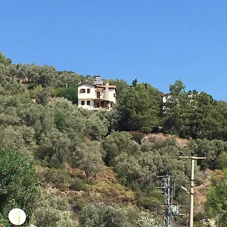 Bouganvillea * Sarigerme