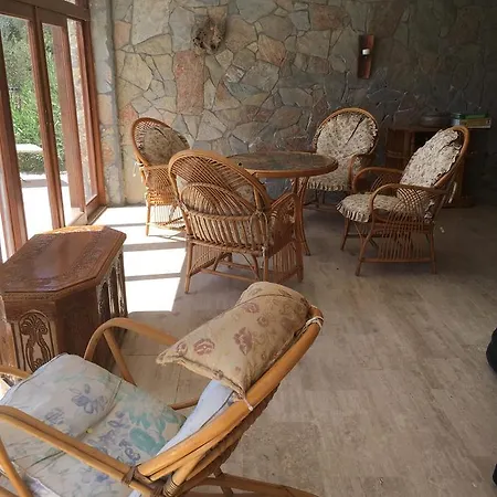 Bouganvillea * Sarigerme
