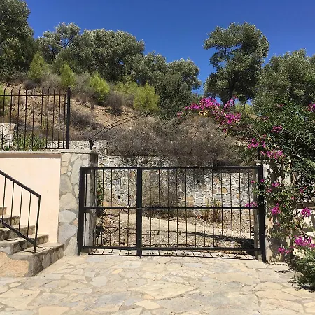 Bouganvillea * Sarigerme