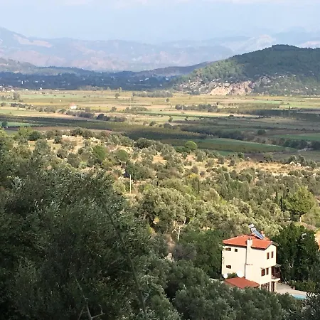 Bouganvillea * Sarigerme