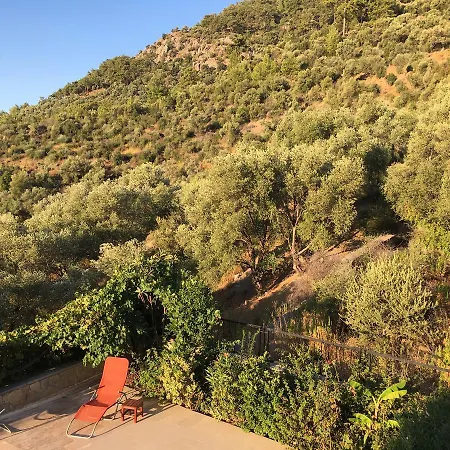 Holiday home Bouganvillea *