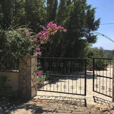 Bouganvillea * Sarigerme