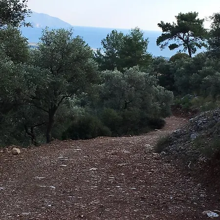 Casa vacanze Bouganvillea *
